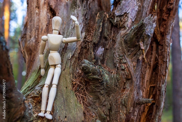 Fototapeta A wooden figure is sitting on a tree branch