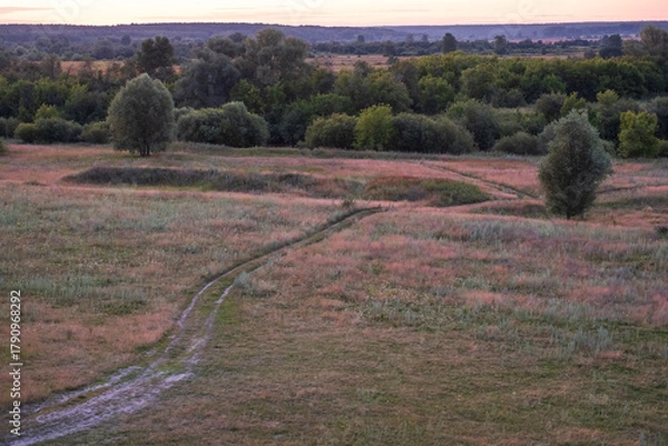 Fototapeta A road cuts through a field of grass