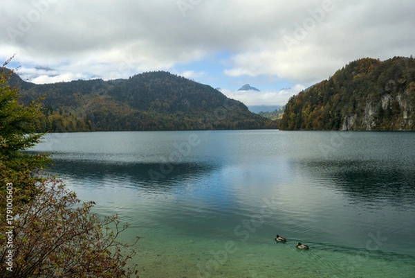 Obraz Tranquil Alpsee lake in the Alps, surrounded by wooded mountains with clear, greenish water.