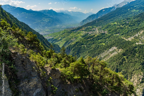 Fototapeta Vue sur les montagnes suisses