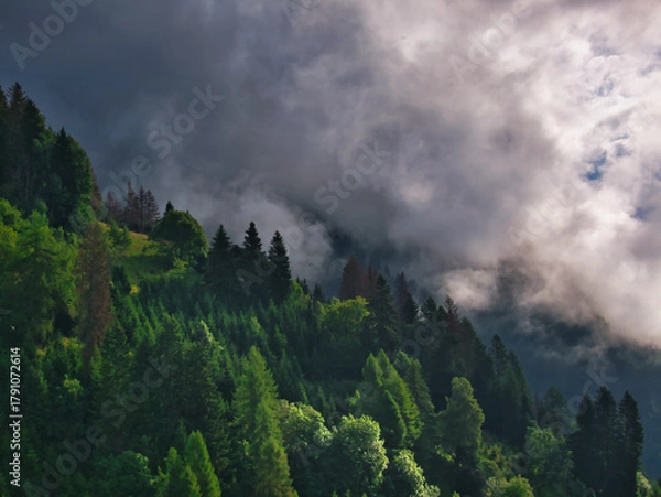 Fototapeta View on foggy mountain forest in the Osttirol region on a summer day