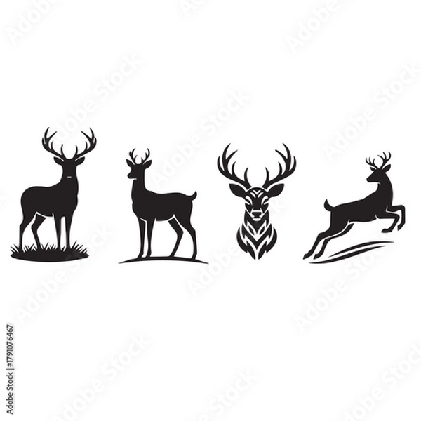 Obraz Diverse collection of animal illustrations bundle