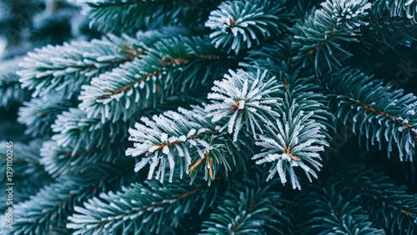 Fototapeta Frost-covered pine branches glisten in the winter sunlight, showcasing nature's beauty. Their rich green color contrasts with the delicate white frost, creating a serene and magical winter landscape.