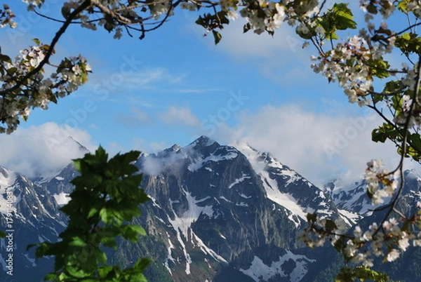 Obraz Krasnaya Polyana. Spurs