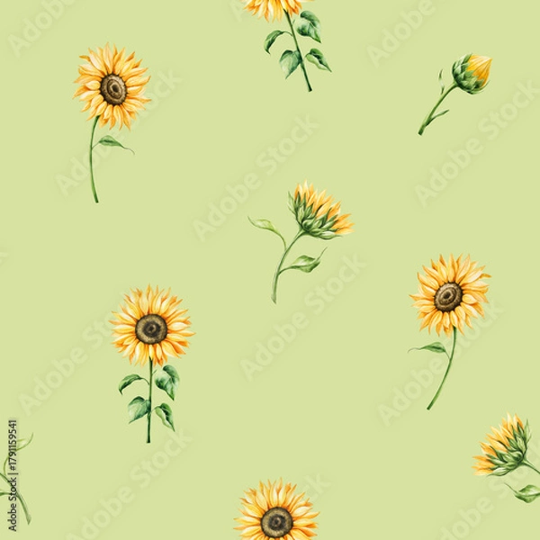 Obraz Watercolor seamless pattern yellow sunflowers in warm autumn tones. Botanical hand drawn illustration isolated on background. Ideal for seasonal, halloween, forest, or nature-themed designs. Rustic