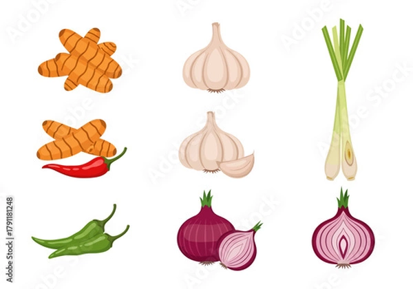 Obraz Illustrations of turmeric chili peppers garlic lemongrass and red onions