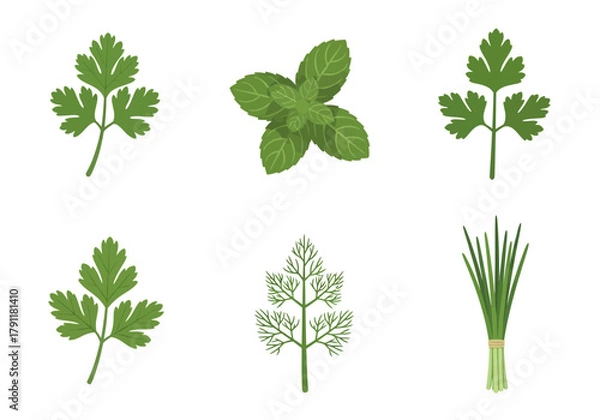 Obraz Six illustrations of green herbs arranged in two rows against a white background