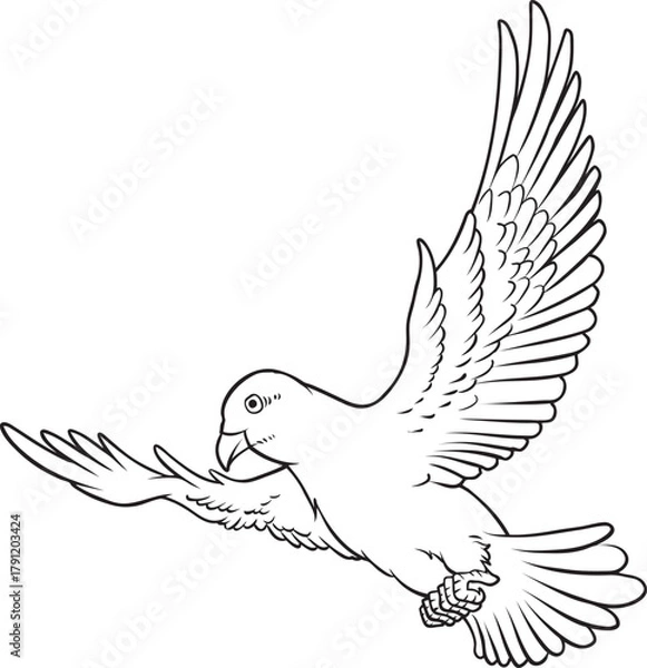 Fototapeta pigeons line vector illustration isolated on white background