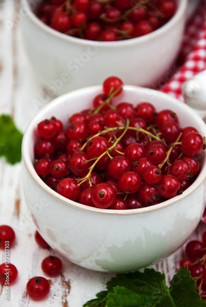 Fototapeta fresh red currant