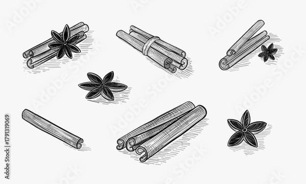 Fototapeta cinnamon, coffee, anise in graphic style