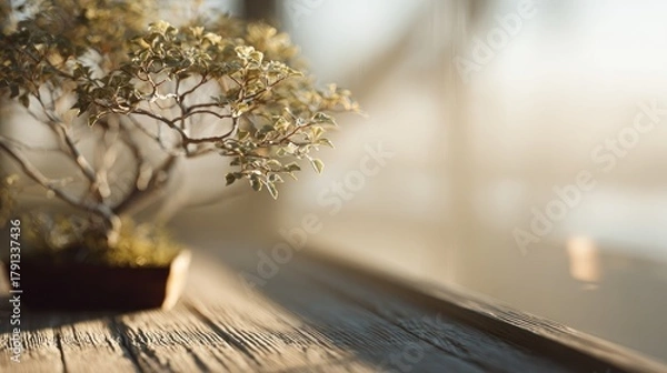 Fototapeta Tranquil bonsai tree near a sunlit window, a symbol of peaceful contemplation