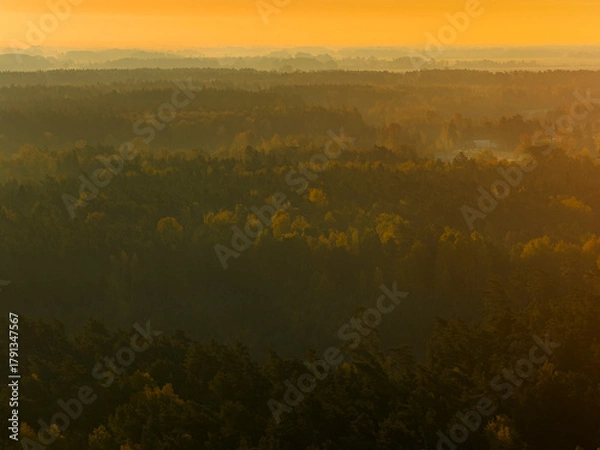 Fototapeta Aerial capture of a colourful autumn landscape in the forest during sunset