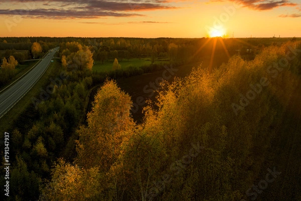 Obraz Aerial capture of a colourful autumn landscape with birch trees in foreground and asphalt road in background