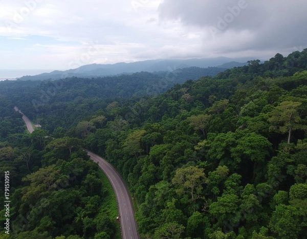 Fototapeta Aerial view of a winding road through a vast, dense tropical rainforest, with lush green canopy stretching to distant mountains under a cloudy sky