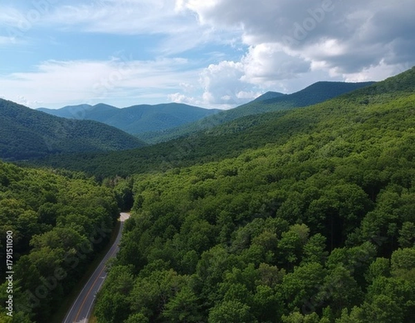 Fototapeta Scenic View of a Mountain Road Winding Through Lush Green Forest Under a Cloudy Sky
