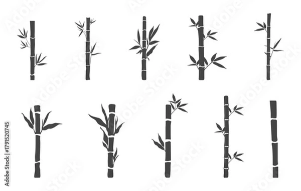 Fototapeta Bamboo silhouettes on white background, Bamboo svg, Bamboo tree silhouette, Bamboo tree svg, Bamboo plant silhouette, Bamboo vector. 