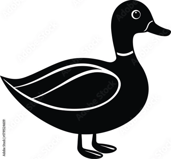 Obraz Stylized mallard duck icon in vibrant colors