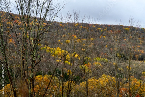 Fototapeta changing colors