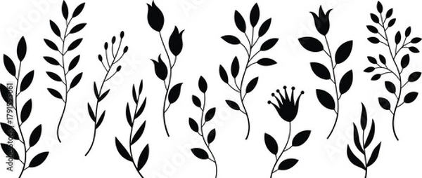 Fototapeta Set of black floral silhouettes with leaves and branches for decorative botanical design, vector illustration on white background