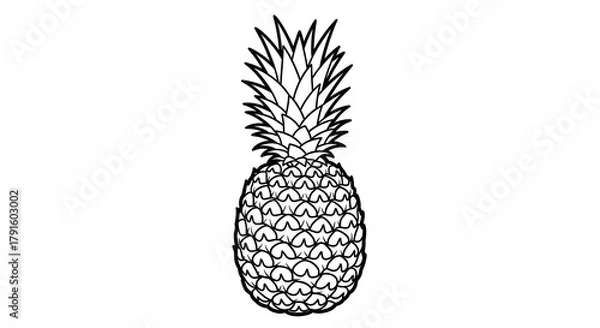 Fototapeta Pineapple outline for coloring book enthusiasts tropical fruit sketch on blank page contour drawing of exotic produce illustration designed for creative summer 66579786 1