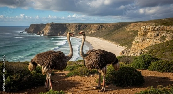 Obraz Majestic ostriches gaze out over a serene coastal landscape with dramatic cliffs and crashing waves