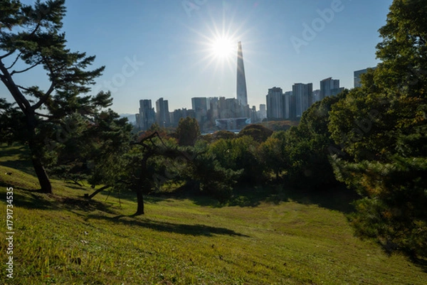 Fototapeta Magnificent autumn colors of the trees in a park with skyscrapers in the background, Seoul, South Korea