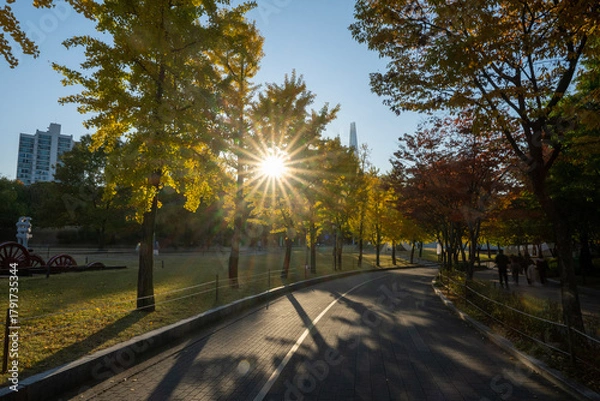 Fototapeta Wonderful autumn colors of the trees and a sunset  and sunstar in a park in Seoul city