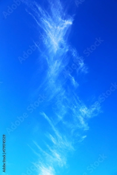 Fototapeta 立ち昇る巻雲