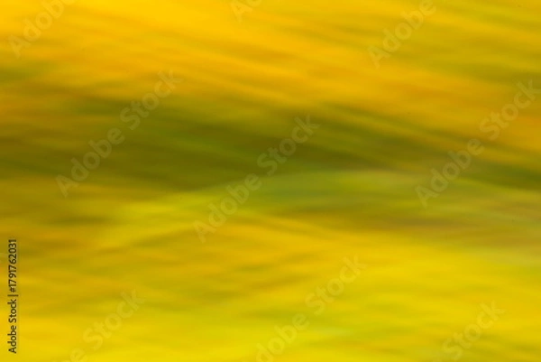 Fototapeta 紅葉を流し撮りしたオレンジの背景素材