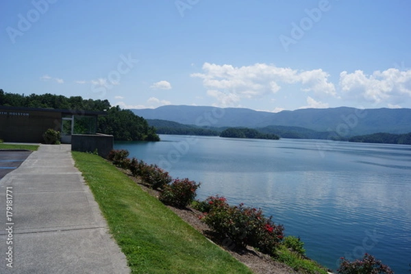 Obraz beauty with flowers