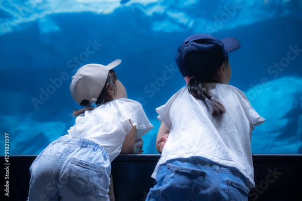 Obraz 水族館の大きな水槽を見つめる子どもたち