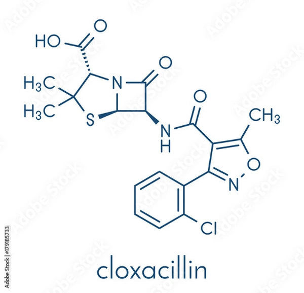 Fototapeta Cloxacillin antibiotic drug molecule. Skeletal formula.