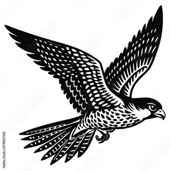 Obraz Illustration of black silhouette falcon flying with open wings in the air