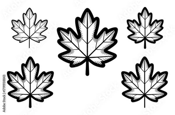Obraz Five Stylized Maple Leaves in Black and White Outline