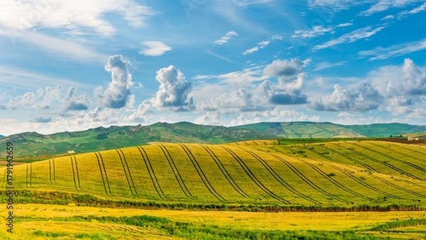 Fototapeta Scenic view at beautiful summer sunset in a wheaten shiny field with golden wheat and sun rays, deep blue cloudy sky and road, rows leading far away, valley landscape