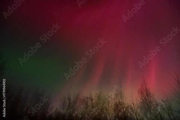 Fototapeta A vibrant, colorful display of the Aurora Borealis  over Alaska from  the severe geomagnetic storm of Veterans Day 2025.