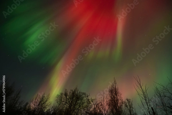 Fototapeta A vibrant, colorful display of the Aurora Borealis  over Alaska from  the severe geomagnetic storm of Veterans Day 2025.