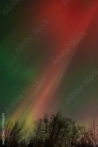 Fototapeta A vibrant, colorful display of the Aurora Borealis  over Alaska from  the severe geomagnetic storm of Veterans Day 2025.
