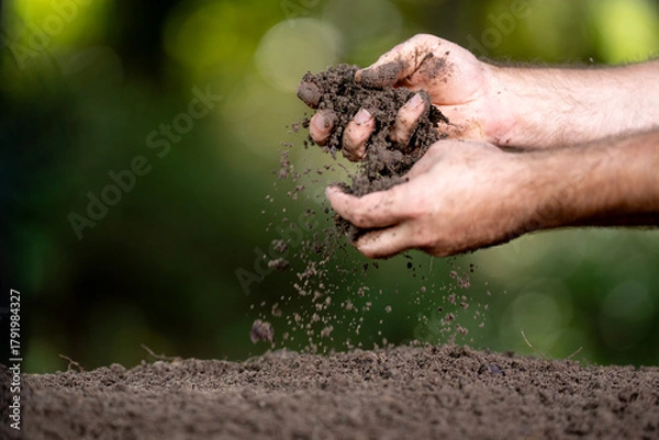 Fototapeta Soil concept. Hands holding fertile soil. Checking soil. Dirty clay and organic compost. Eco farming with natural soil. Humus quality. Farmer testing compost.