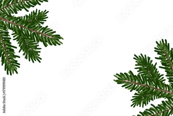 Obraz christmas tree branches border isolated