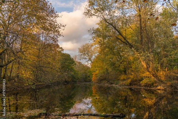 Obraz Ramapo River In Autumn
