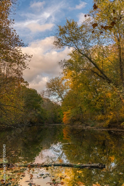 Obraz Ramapo River In Autumn