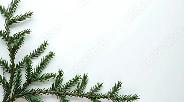 Fototapeta Minimal Pine Branch Christmas Tree Design on Light Background for Holiday Decor