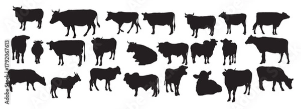 Obraz cow silhouette set