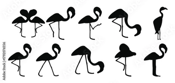 Fototapeta Set of Flamingo vector illustration