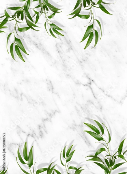 Fototapeta White marble background with green leaves