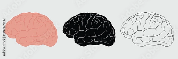 Fototapeta Human brain vector, symbol. Human brain icon vector. Mind sign, thinking, idea icon. Human brain design for logo, medical science, app, UI, UX. Vector illustration.