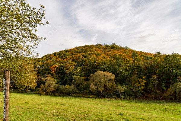 Fototapeta Peaceful Autumn Landscape with Forested Hill, Green Meadow, and Cloudy Sky