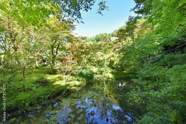 Fototapeta 十牛之庭