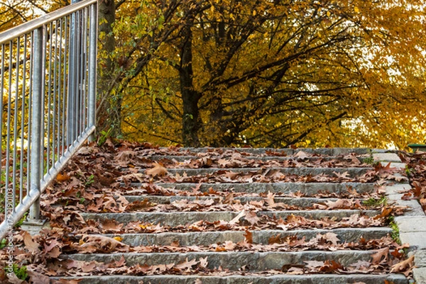 Fototapeta stone steps covered with autumn leaves